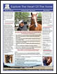 Explore the Heart of the Horse Individual 90 Minute Session