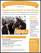Explore the Heart of the Horse